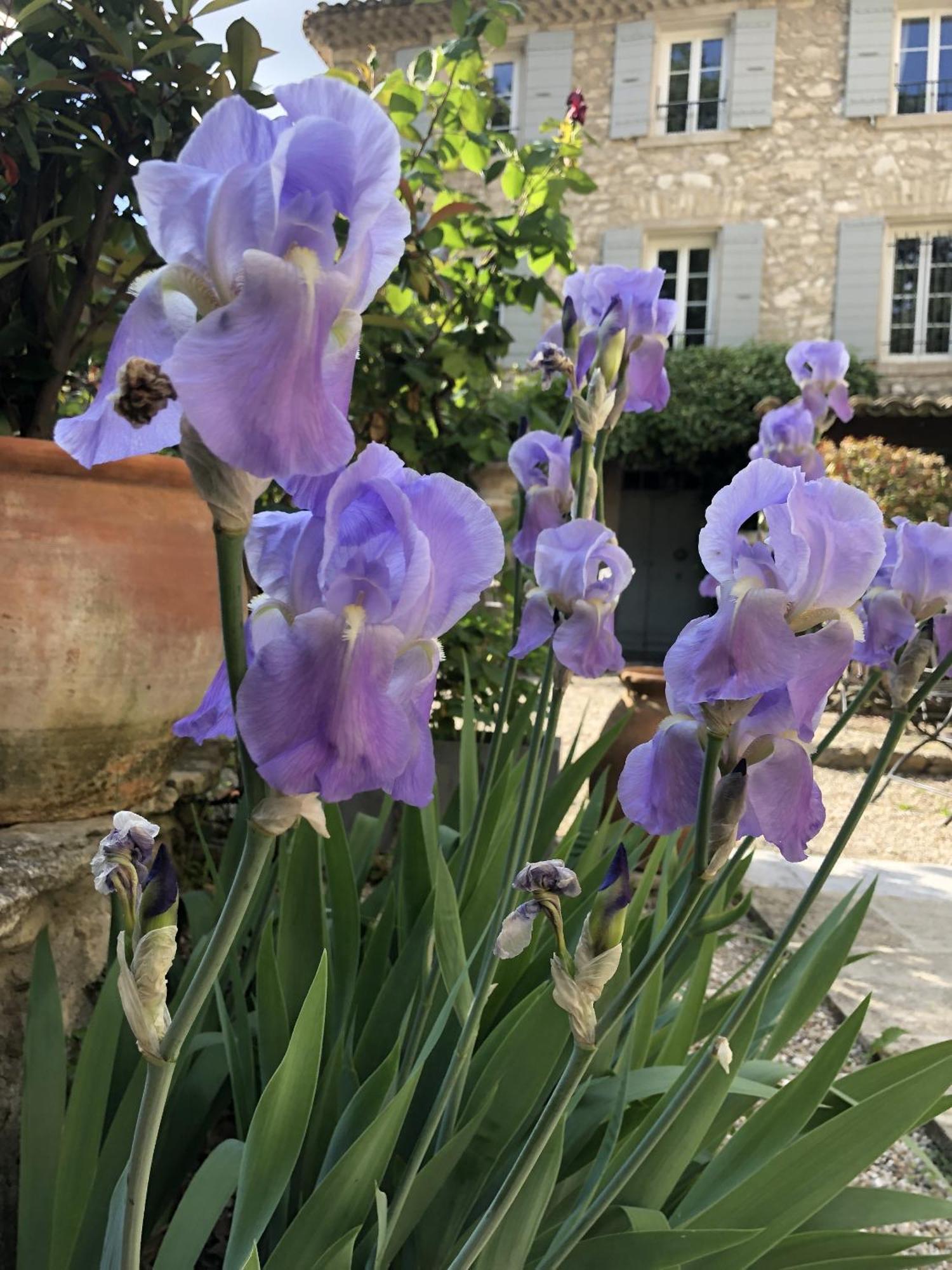 Bed and Breakfast La Figuiere Fontaine De Vaucluse Zewnętrze zdjęcie
