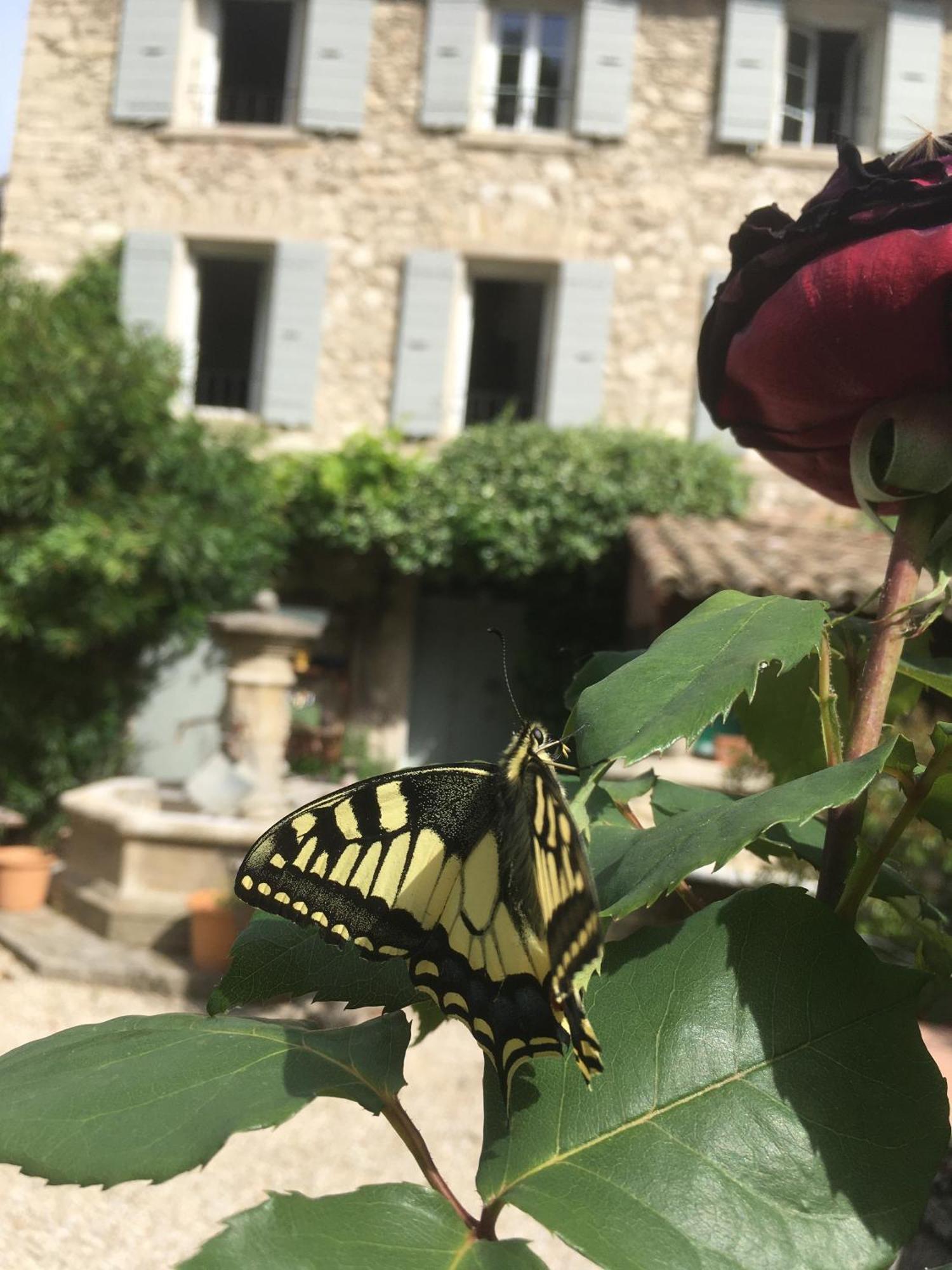 Bed and Breakfast La Figuiere Fontaine De Vaucluse Zewnętrze zdjęcie